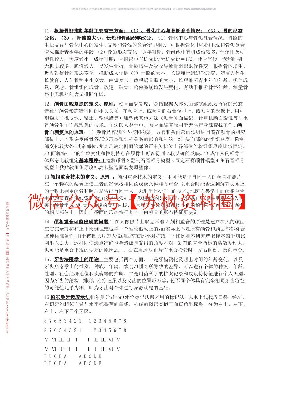 法医人类学